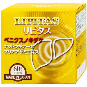00029360 lipitas jpanwell 60v 9932 6006 large