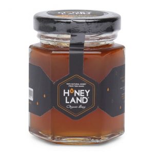 Mật ong hoa nhãn Honey land (110g)