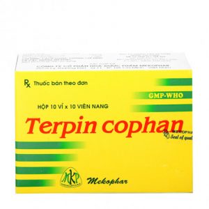 Thuốc giảm ho, long đàm Terpin Cophan (10 vỉ x 10 viên /hộp)